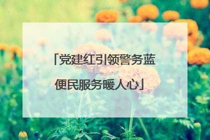 党建红引领警务蓝 便民服务暖人心