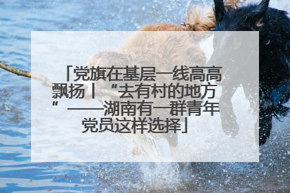 党旗在基层一线高高飘扬丨“去有村的地方”——湖南有一群青年党员这样选择
