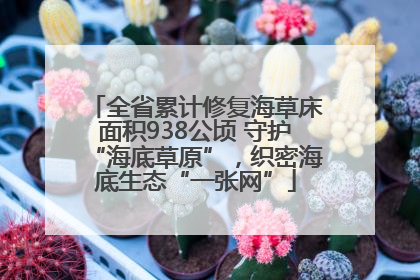 全省累计修复海草床面积938公顷 守护“海底草原”，织密海底生态“一张网”