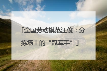 全国劳动模范汪俊：分拣场上的“冠军手”