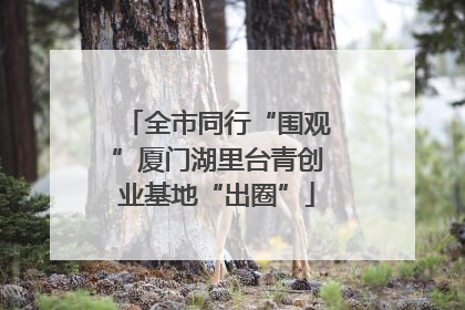 全市同行“围观”厦门湖里台青创业基地“出圈”