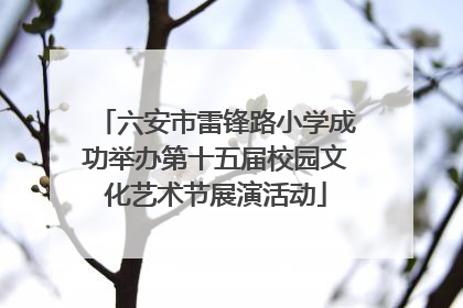 六安市雷锋路小学成功举办第十五届校园文化艺术节展演活动