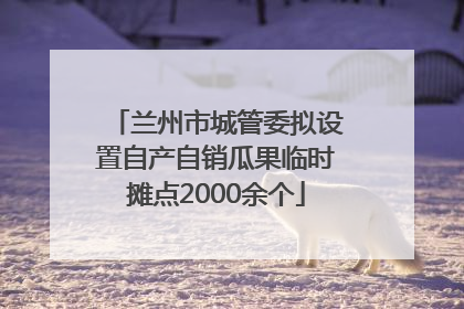 兰州市城管委拟设置自产自销瓜果临时摊点2000余个