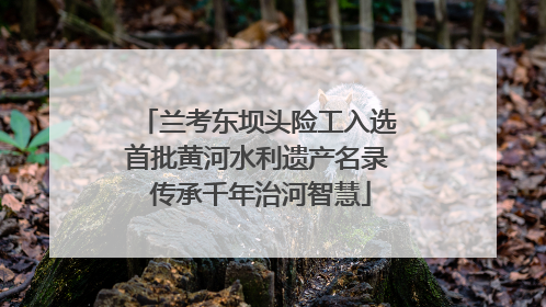 兰考东坝头险工入选首批黄河水利遗产名录 传承千年治河智慧