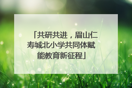共研共进，眉山仁寿城北小学共同体赋能教育新征程