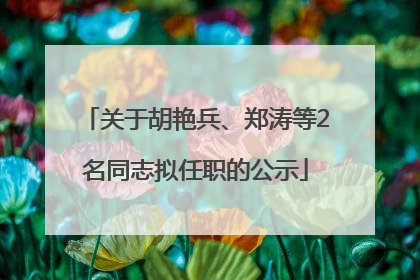 关于胡艳兵、郑涛等2名同志拟任职的公示