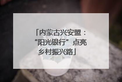内蒙古兴安盟：“阳光银行”点亮乡村振兴路