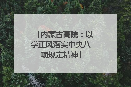 内蒙古高院：以学正风落实中央八项规定精神
