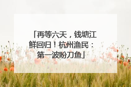 再等六天，钱塘江鲜回归！杭州渔民：第一波盼刀鱼