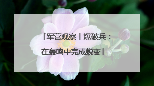 军营观察丨爆破兵：在轰鸣中完成蜕变