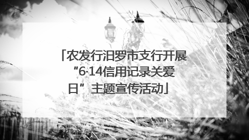 农发行汨罗市支行开展“6·14信用记录关爱日”主题宣传活动