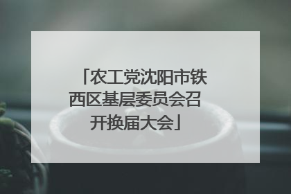 农工党沈阳市铁西区基层委员会召开换届大会