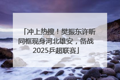 冲上热搜！樊振东许昕同框现身河北雄安，备战2025乒超联赛