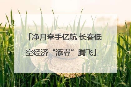 净月牵手亿航 长春低空经济“添翼”腾飞
