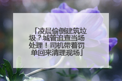 凌晨偷倒建筑垃圾？城管追查当场处理！司机带着罚单回来清理现场