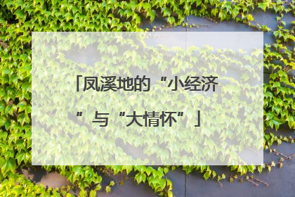 凤溪地的“小经济”与“大情怀”