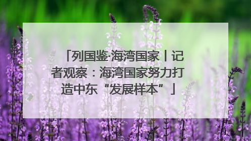 列国鉴·海湾国家丨记者观察：海湾国家努力打造中东“发展样本”