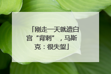 刚走一天就遭白宫“背刺”，马斯克：很失望