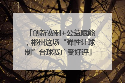 创新赛制+公益赋能，郴州这场“弹性让球制”台球赛广受好评