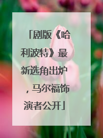 剧版《哈利波特》最新选角出炉，马尔福饰演者公开