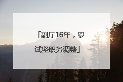 副厅16年，罗试坚职务调整