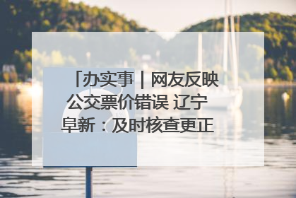 办实事｜网友反映公交票价错误 辽宁阜新：及时核查更正 加强实时巡检