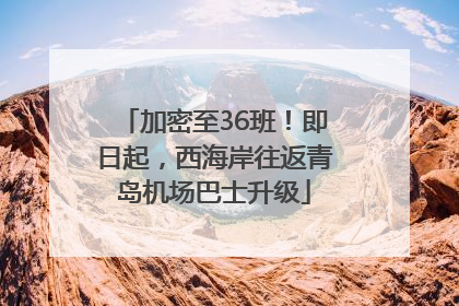 加密至36班！即日起，西海岸往返青岛机场巴士升级