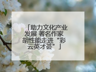 助力文化产业发展 著名作家胡性能走进“彩云英才荟”