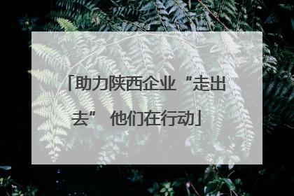 助力陕西企业“走出去” 他们在行动
