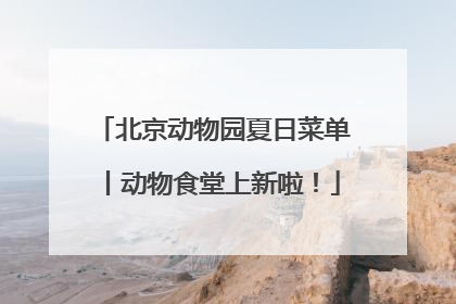 北京动物园夏日菜单丨动物食堂上新啦！