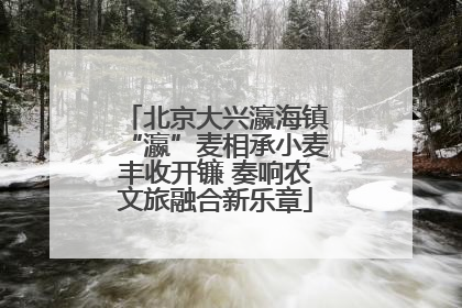 北京大兴瀛海镇“瀛”麦相承小麦丰收开镰 奏响农文旅融合新乐章