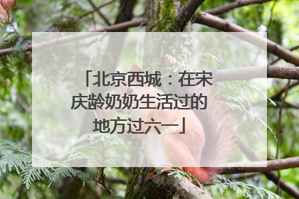 北京西城：在宋庆龄奶奶生活过的地方过六一