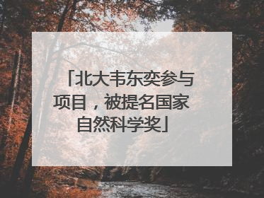 北大韦东奕参与项目，被提名国家自然科学奖