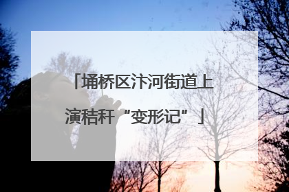 埇桥区汴河街道上演秸秆“变形记”