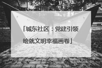 城东社区：党建引领绘就文明幸福画卷