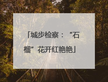 城步检察：“石榴”花开红艳艳