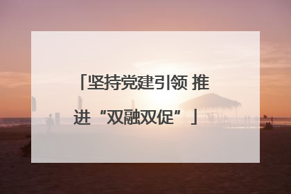 坚持党建引领 推进“双融双促”