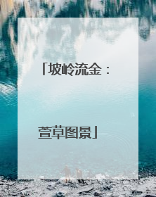 坡岭流金：萱草图景