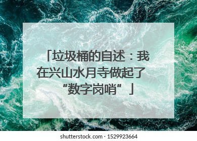 垃圾桶的自述：我在兴山水月寺做起了“数字岗哨”