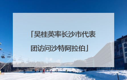吴桂英率长沙市代表团访问沙特阿拉伯