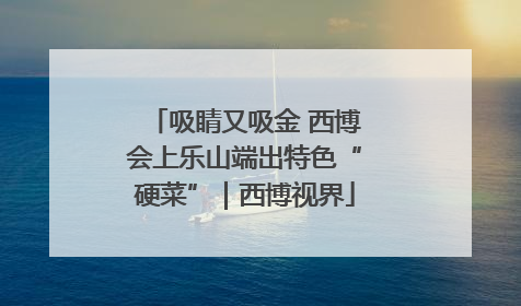 吸睛又吸金 西博会上乐山端出特色“硬菜”｜西博视界