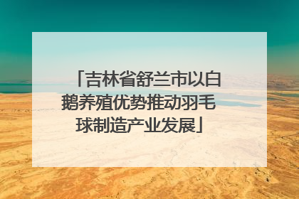 吉林省舒兰市以白鹅养殖优势推动羽毛球制造产业发展