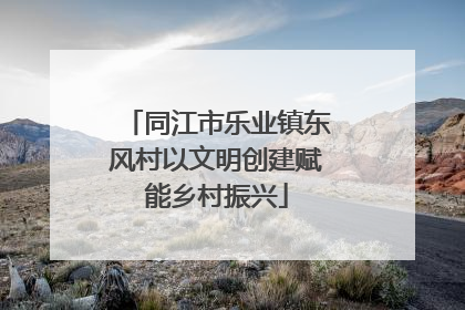 同江市乐业镇东风村以文明创建赋能乡村振兴