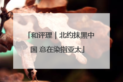 和评理｜北约抹黑中国 意在染指亚太