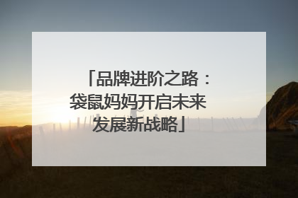品牌进阶之路：袋鼠妈妈开启未来发展新战略