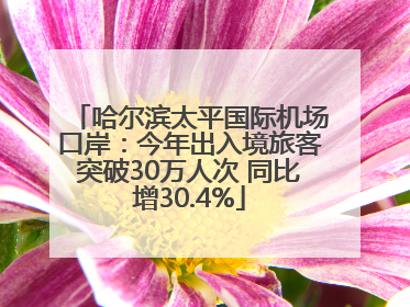 哈尔滨太平国际机场口岸：今年出入境旅客突破30万人次 同比增30.4%