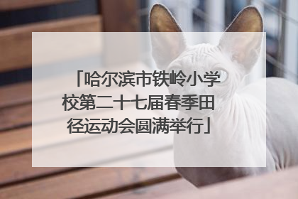 哈尔滨市铁岭小学校第二十七届春季田径运动会圆满举行