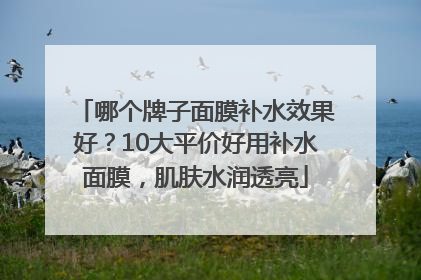 哪个牌子面膜补水效果好？10大平价好用补水面膜，肌肤水润透亮