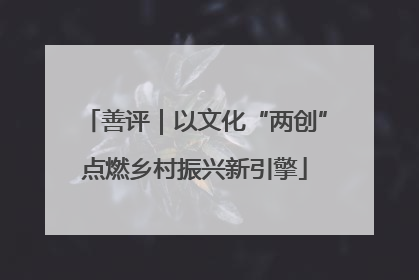 善评｜以文化“两创”点燃乡村振兴新引擎
