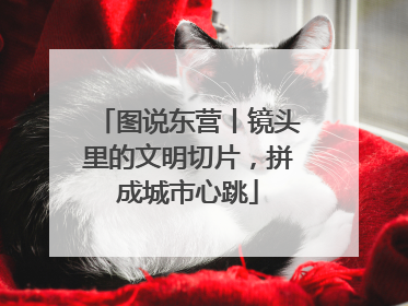 图说东营丨镜头里的文明切片，拼成城市心跳